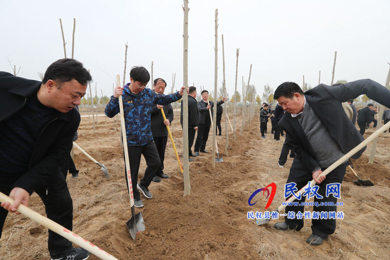縣四家領(lǐng)導參加冬季義務(wù)植樹活動 縣四家領(lǐng)導參加冬季義務(wù)植樹活動