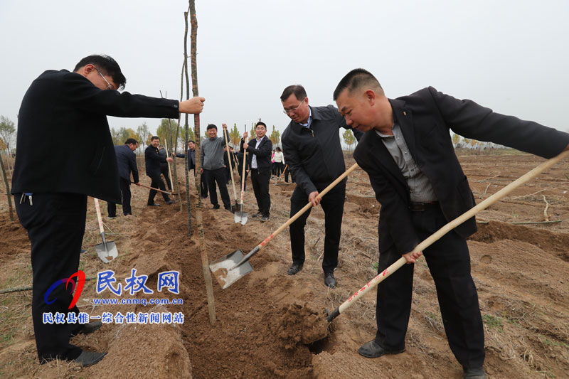 縣四家領(lǐng)導參加冬季義務(wù)植樹活動 縣四家領(lǐng)導參加冬季義務(wù)植樹活動