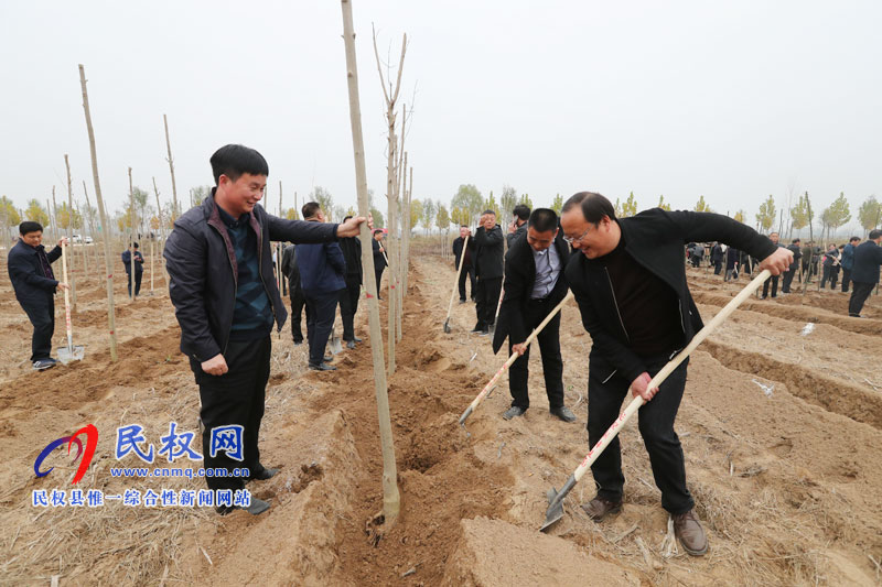 縣四家領(lǐng)導參加冬季義務(wù)植樹活動 縣四家領(lǐng)導參加冬季義務(wù)植樹活動
