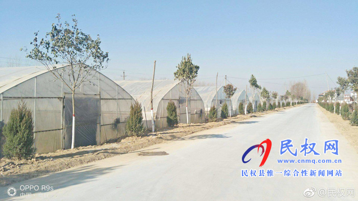 綠洲街道辦：城鄉(xiāng)融合譜新篇，鄉(xiāng)村生態(tài)又宜居