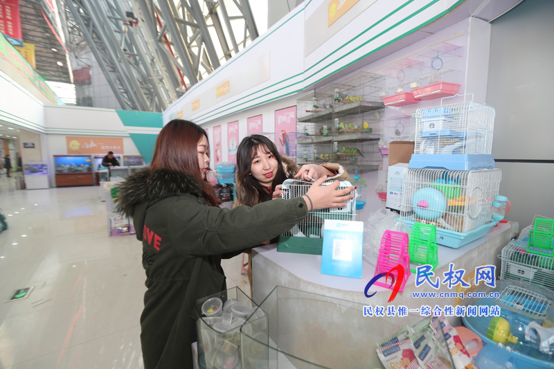 2019河南·民權(quán)首屆精品年貨博覽會開幕