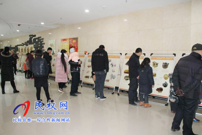 “金豬拱?！液バ麓荷へi文物圖片聯(lián)展”走進(jìn)民權(quán)