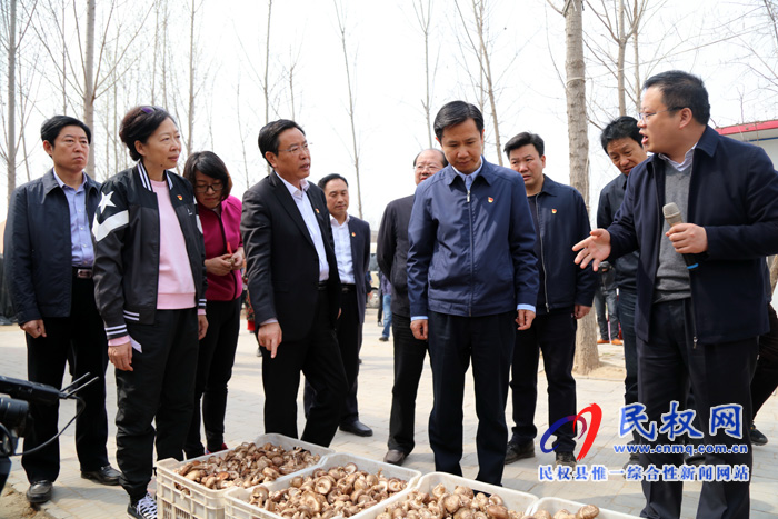 共植媒體林 同迎故道春——省委常委、宣傳部長江凌蒞民植新綠、造“媒林”