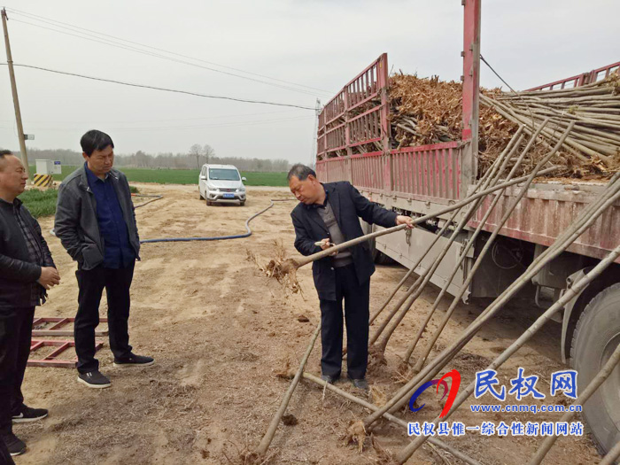 縣林業(yè)局嚴把植樹造林質量關 縣林業(yè)局嚴把植樹造林質量關