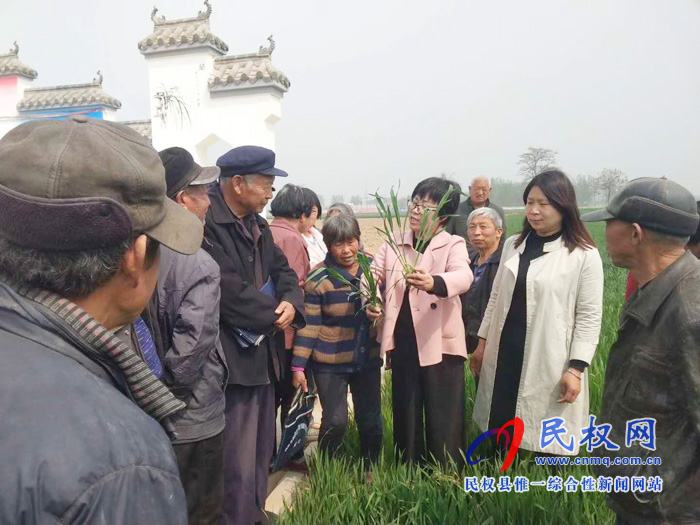 農(nóng)業(yè)農(nóng)村局王橋農(nóng)技推廣區(qū)域站送科技下鄉(xiāng) 助力新農(nóng)村建設