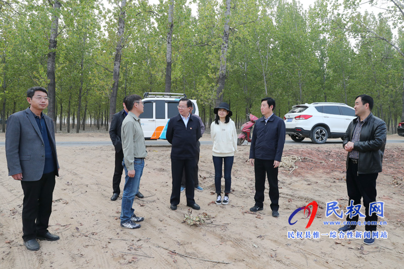 市委常委、宣傳部長王全周調(diào)研我縣申甘林帶“媒林”建設情況
