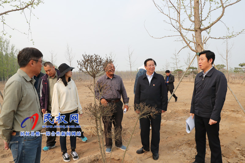 市委常委、宣傳部長王全周調(diào)研我縣申甘林帶“媒林”建設情況