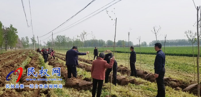 莊子鎮(zhèn)積極開展國土綠化、植樹造林活動