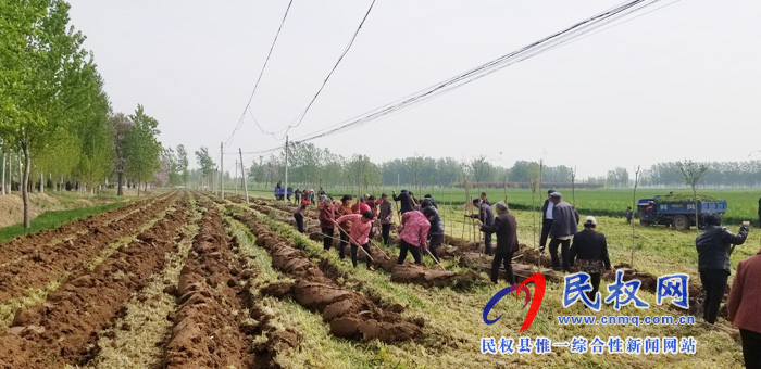 莊子鎮(zhèn)積極開展國土綠化、植樹造林活動