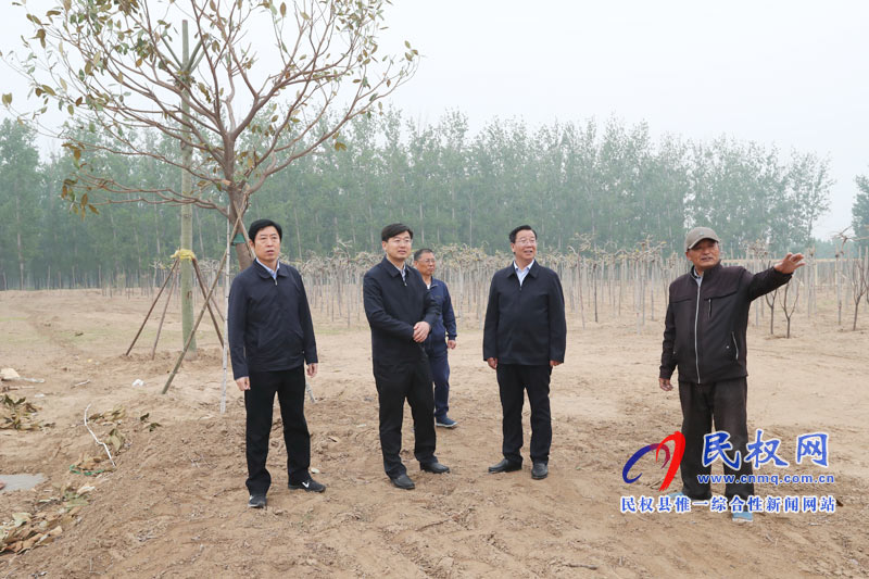 市委常委、宣傳部長王全周調(diào)研我縣申甘林帶“媒林”建設(shè)及鄉(xiāng)村旅游發(fā)展情況