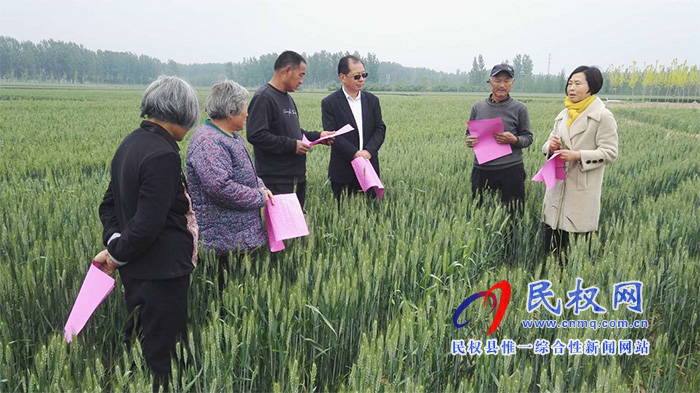 深入實(shí)際 服務(wù)三農(nóng)---民權(quán)縣農(nóng)業(yè)農(nóng)村局農(nóng)技人員傾情服務(wù)在田間