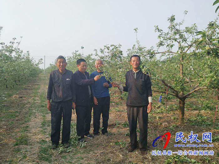 園藝站科技人員深入果園幫助果農(nóng)解決果樹技術難題