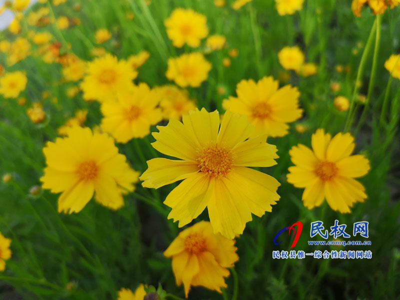 圖說民權丨民權縣安瀾湖公園 圖說民權丨民權縣安瀾湖公園