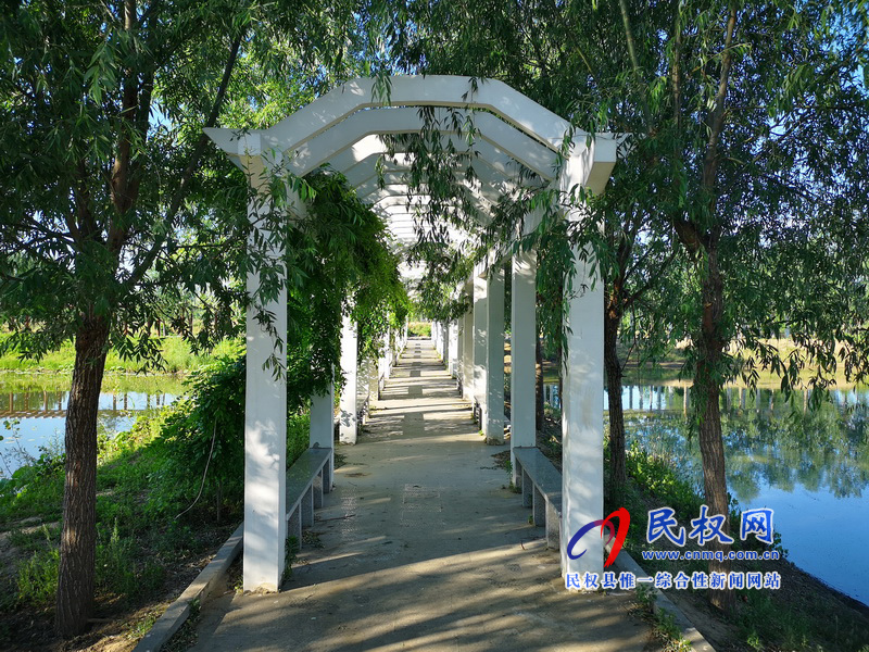 圖說民權(quán)丨水鄉(xiāng)任莊