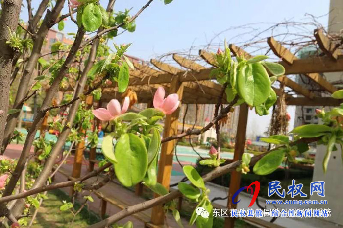 民東新區(qū)實(shí)驗(yàn)幼兒園2019年秋季學(xué)位預(yù)訂開始啦！