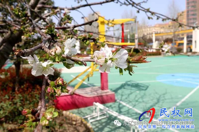 民東新區(qū)實(shí)驗(yàn)幼兒園2019年秋季學(xué)位預(yù)訂開始啦！
