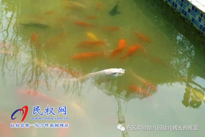 民東新區(qū)實(shí)驗(yàn)幼兒園2019年秋季學(xué)位預(yù)訂開始啦！