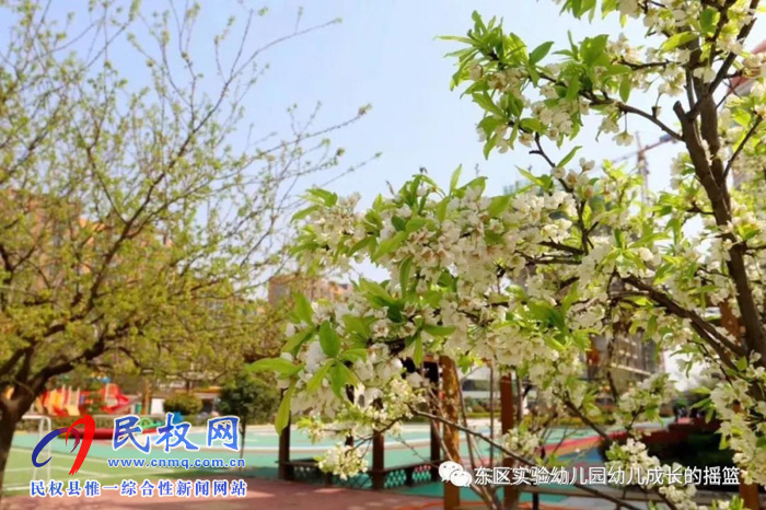 民東新區(qū)實(shí)驗(yàn)幼兒園2019年秋季學(xué)位預(yù)訂開始啦！