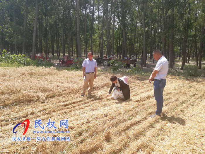 縣農(nóng)業(yè)農(nóng)村局加強麥收期間秋作物的田間管理