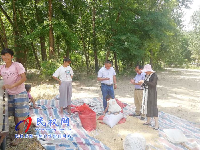 縣農(nóng)業(yè)農(nóng)村局加強麥收期間秋作物的田間管理
