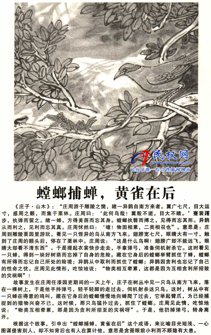 莊子成語故事 | 《螳螂捕蟬，黃雀在后》《屠龍之技》