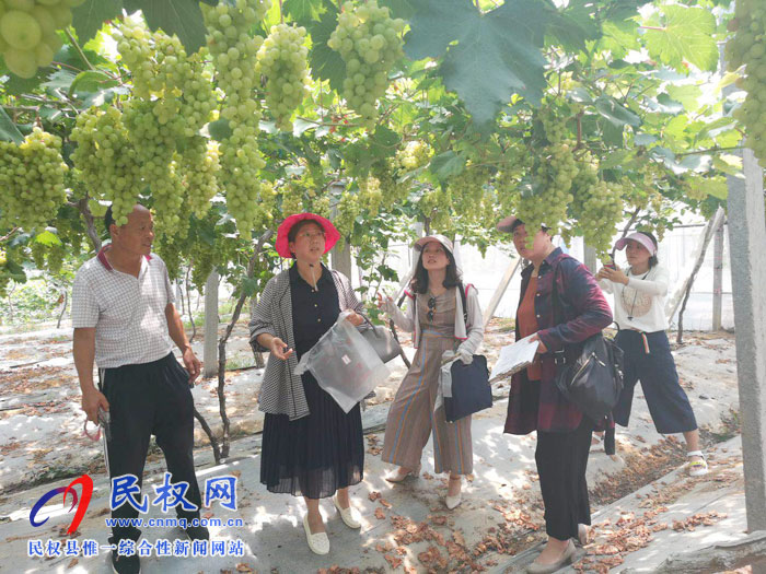 市農(nóng)業(yè)農(nóng)村局領導蒞民開展農(nóng)產(chǎn)品質量安全例行監(jiān)測工作 市農(nóng)業(yè)農(nóng)村局領導蒞民開展農(nóng)產(chǎn)品質量安全例行監(jiān)測工作