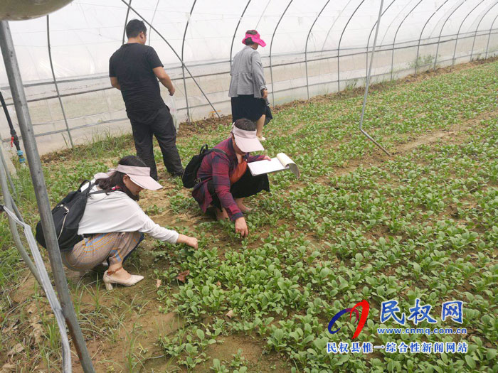 市農(nóng)業(yè)農(nóng)村局領導蒞民開展農(nóng)產(chǎn)品質量安全例行監(jiān)測工作 市農(nóng)業(yè)農(nóng)村局領導蒞民開展農(nóng)產(chǎn)品質量安全例行監(jiān)測工作