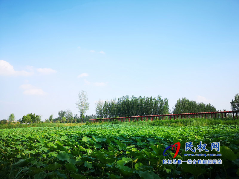 民權(quán)美景“民權(quán)藍(lán)” ?