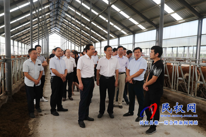 全市產(chǎn)業(yè)扶貧、金融扶貧暨結(jié)對(duì)幫扶民權(quán)縣工作推進(jìn)會(huì)在我縣召開