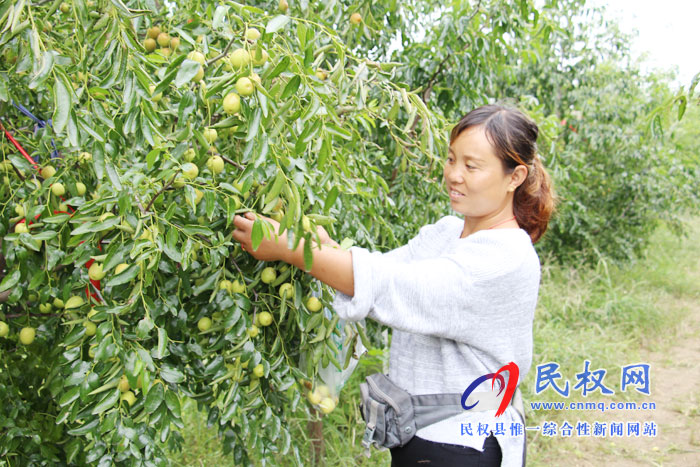 花園鄉(xiāng)打好“產業(yè)升級牌”助推鄉(xiāng)村振興 花園鄉(xiāng)打好“產業(yè)升級牌”助推鄉(xiāng)村振興