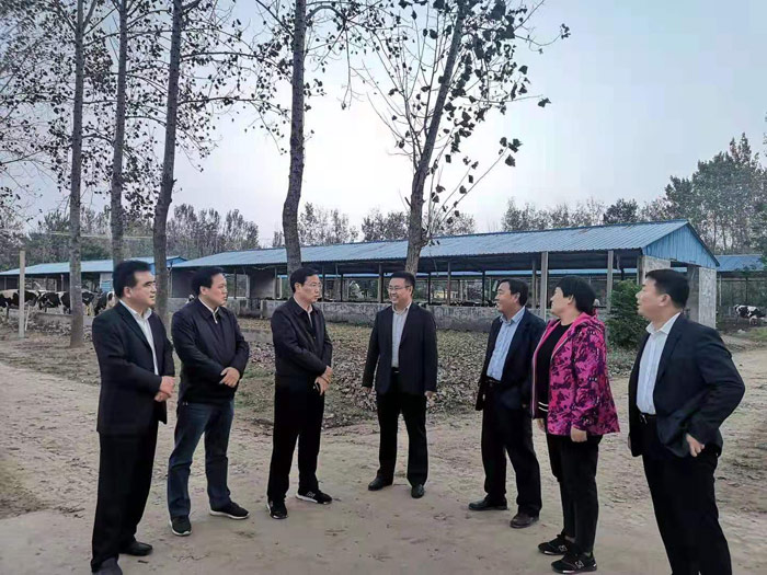 市人大常委會(huì)副主任、縣委書記姬脈常到我縣部分鄉(xiāng)鎮(zhèn)調(diào)研產(chǎn)業(yè)扶貧項(xiàng)目發(fā)展情況