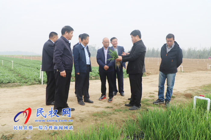 商丘市2019年主要農(nóng)作物生產(chǎn)全程機械化現(xiàn)場會在我縣召開 商丘市2019年主要農(nóng)作物生產(chǎn)全程機械化現(xiàn)場會在我縣召開