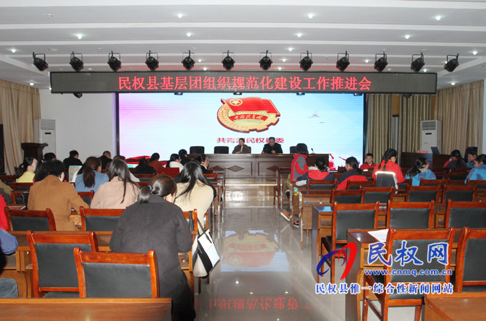 團縣委組織召開基層團組織規(guī)范化建設(shè)推進會
