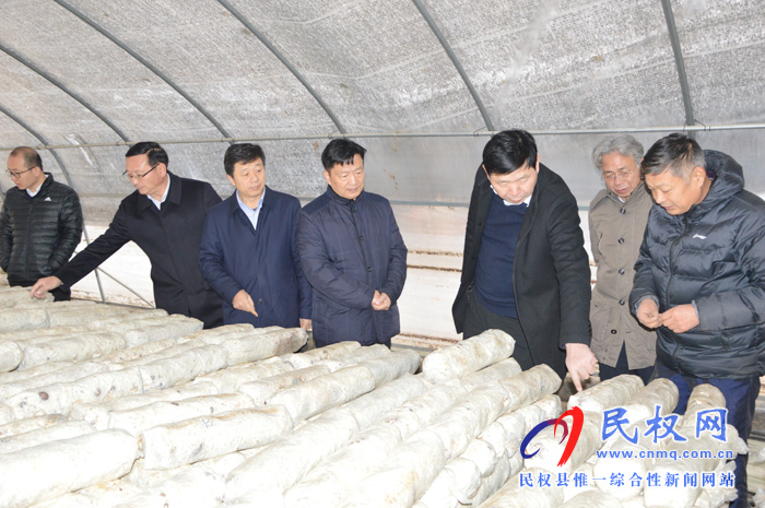 民權(quán)縣國家級(jí)林下食用菌種植標(biāo)準(zhǔn)化示范區(qū)順利通過考核驗(yàn)收 民權(quán)縣國家級(jí)林下食用菌種植標(biāo)準(zhǔn)化示范區(qū)順利通過考核驗(yàn)收