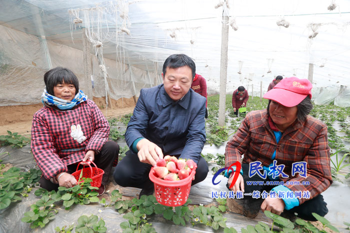 民權(quán)全方位引導(dǎo)農(nóng)民工返鄉(xiāng)創(chuàng)業(yè) 激活發(fā)展動(dòng)能三萬多人返鄉(xiāng)創(chuàng)業(yè)帶富鄉(xiāng)鄰 民權(quán)全方位引導(dǎo)農(nóng)民工返鄉(xiāng)創(chuàng)業(yè) 激活發(fā)展動(dòng)能三萬多人返鄉(xiāng)創(chuàng)業(yè)帶富鄉(xiāng)鄰