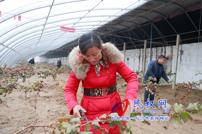 民權(quán)全方位引導(dǎo)農(nóng)民工返鄉(xiāng)創(chuàng)業(yè) 激活發(fā)展動(dòng)能三萬多人返鄉(xiāng)創(chuàng)業(yè)帶富鄉(xiāng)鄰 民權(quán)全方位引導(dǎo)農(nóng)民工返鄉(xiāng)創(chuàng)業(yè) 激活發(fā)展動(dòng)能三萬多人返鄉(xiāng)創(chuàng)業(yè)帶富鄉(xiāng)鄰