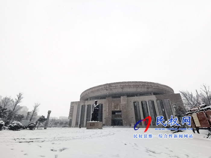 圖說|河南民權(quán)：2020年的第一場雪，太美了吧!