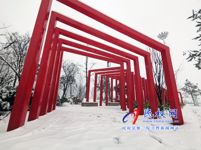 圖說|河南民權(quán)：2020年的第一場雪，太美了吧!