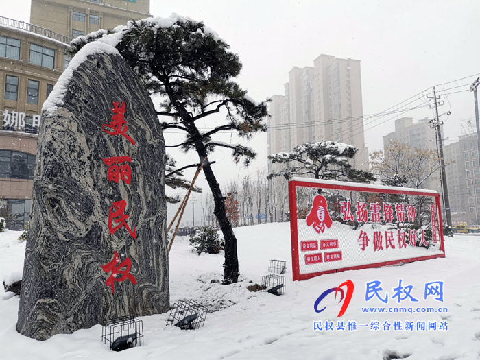 圖說|河南民權(quán)：2020年的第一場雪，太美了吧!