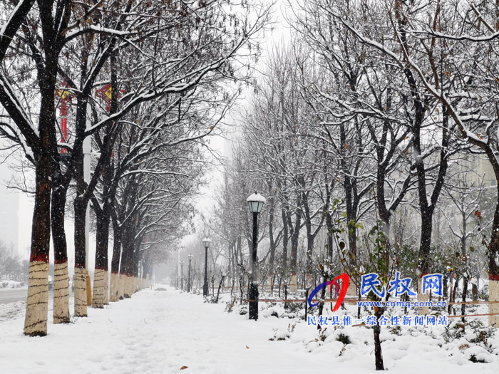 圖說|河南民權(quán)：2020年的第一場雪，太美了吧!