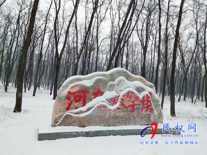 圖說|河南民權(quán)：2020年的第一場雪，太美了吧!