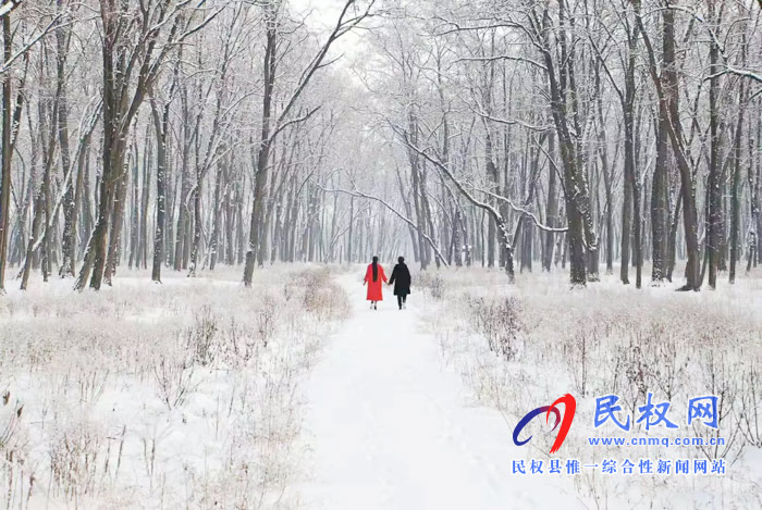 圖說|河南民權(quán)：2020年的第一場雪，太美了吧!