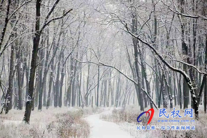 圖說|河南民權(quán)：2020年的第一場雪，太美了吧!