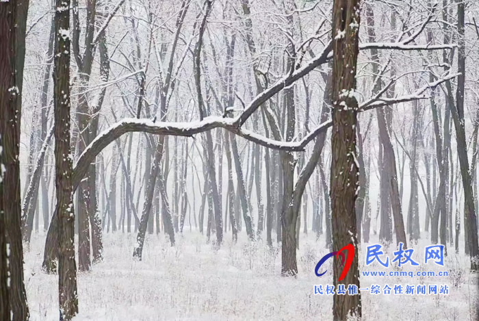 圖說|河南民權(quán)：2020年的第一場雪，太美了吧!