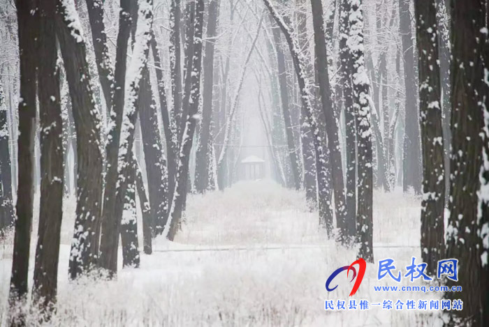 圖說|河南民權(quán)：2020年的第一場雪，太美了吧!