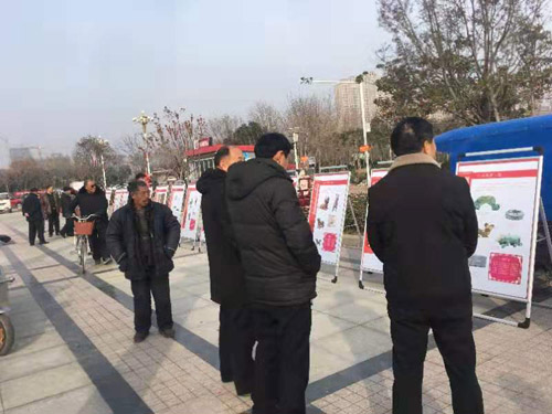 “瑞鼠吐寶——庚子新春生肖文物圖片聯(lián)展”走進民權