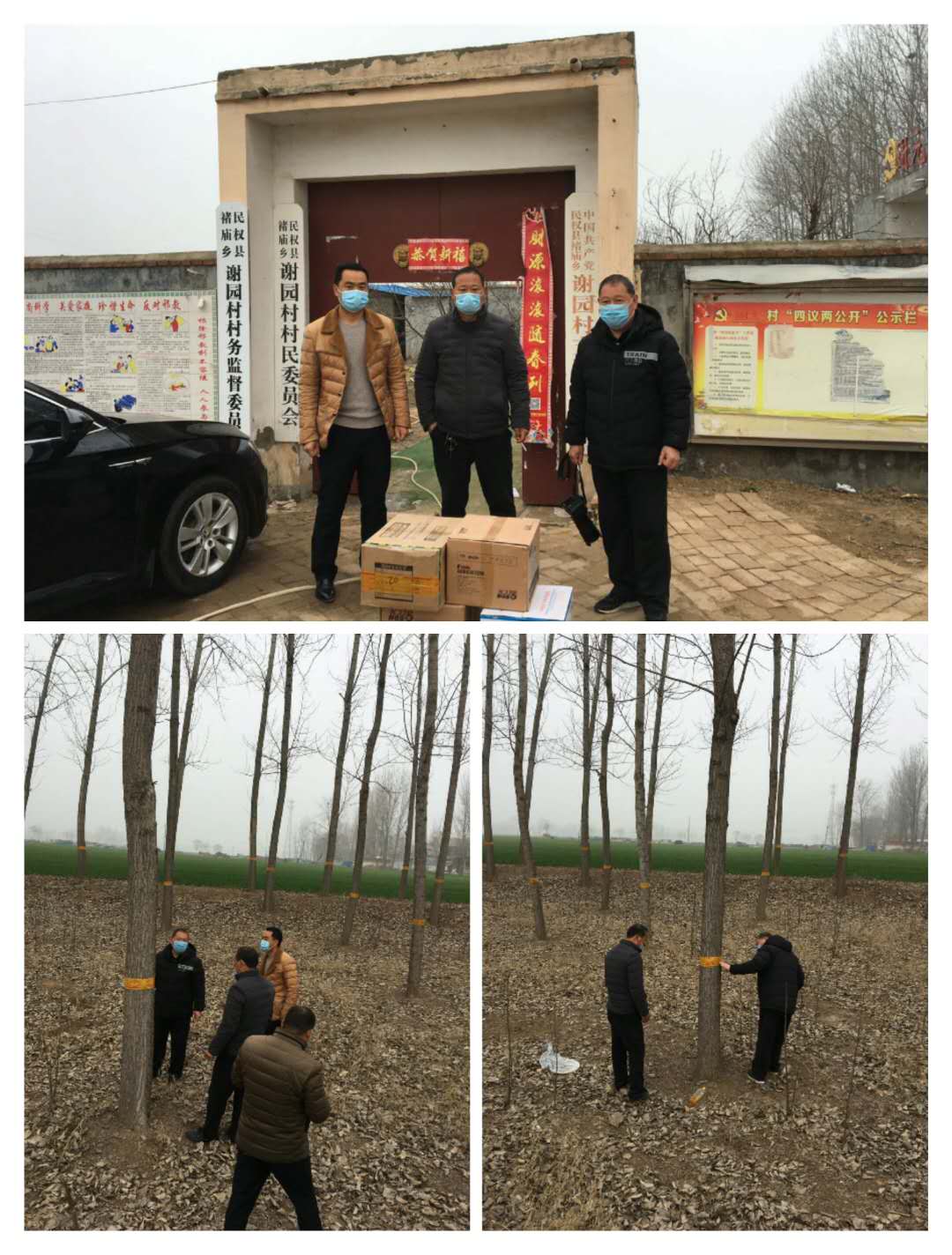 縣林業(yè)發(fā)展服務(wù)中心防疫、防治兩不誤