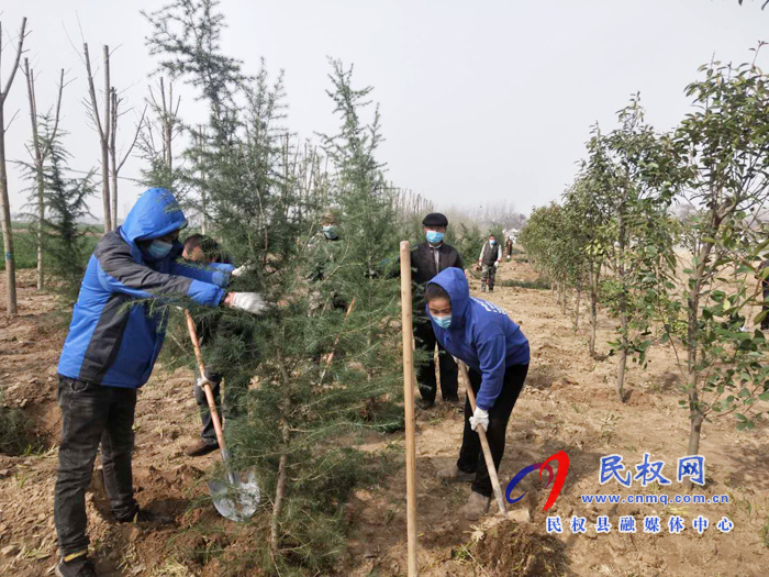 雙塔鎮(zhèn)：疫情防控不松勁 植樹造林不誤時