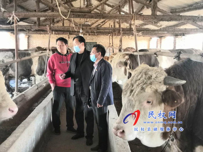 縣畜牧局在牛場現(xiàn)場辦公