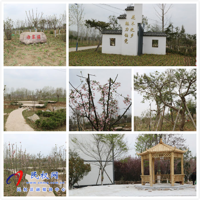 伯黨鄉(xiāng):美麗游園入畫(huà)來(lái) 伯黨鄉(xiāng):美麗游園入畫(huà)來(lái)